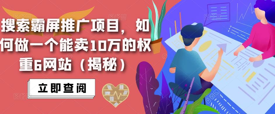 搜索霸屏推广项目，如何做一个能卖10万的权重6网站（揭秘）-润泽资源库