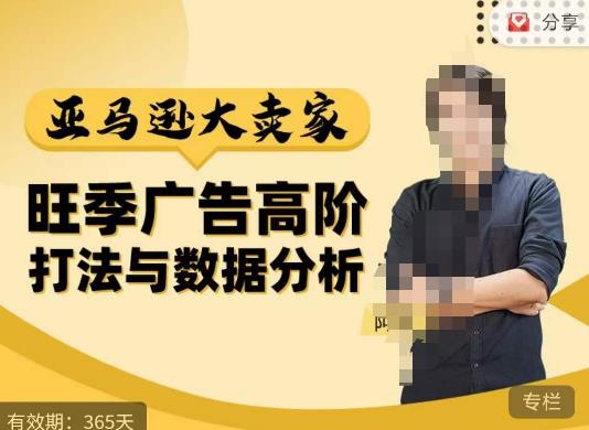 阿甘·亚马逊大卖家广告高阶打法与数据分析，走出传统广告误区；揭秘大卖惯用打法；数据驱动广告决策-润泽资源库