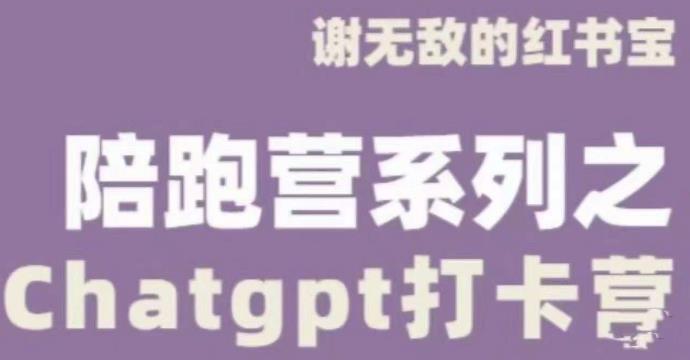 谢无敌ChatGPT打卡营，教你更好地使用ChatGPT来提高工作效率-润泽资源库