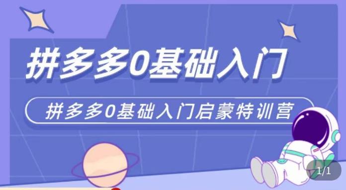 六一电商·拼多多运营0-1实操特训营，拼多多从基础到进阶的可实操玩法-润泽资源库