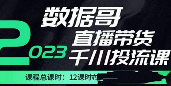 数据哥2023直播电商巨量千川付费投流实操课，快速掌握直播带货运营投放策略-润泽资源库