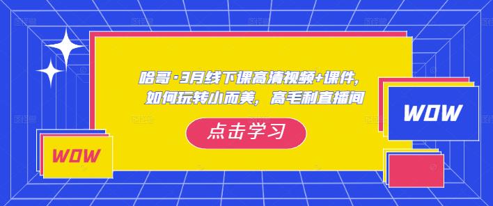哈哥·3月线下实操课高清视频+课件，如何玩转小而美，高毛利直播间-润泽资源库
