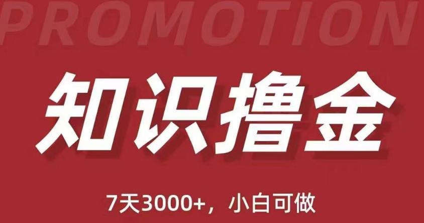 抖音知识撸金项目：简单粗暴日入1000+执行力强当天见收益(教程+资料)-润泽资源库