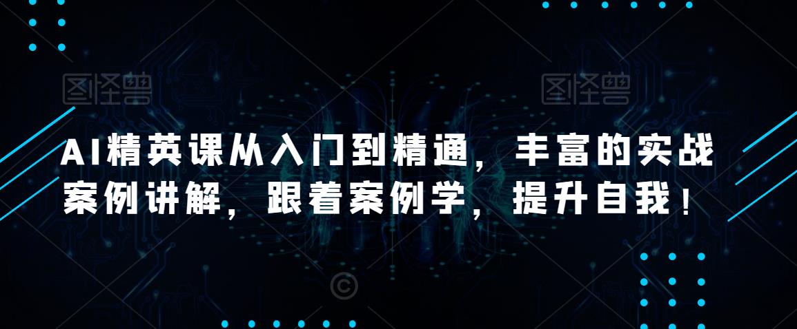 AI精英课从入门到精通，丰富的实战案例讲解，跟着案例学，提升自我！-润泽资源库