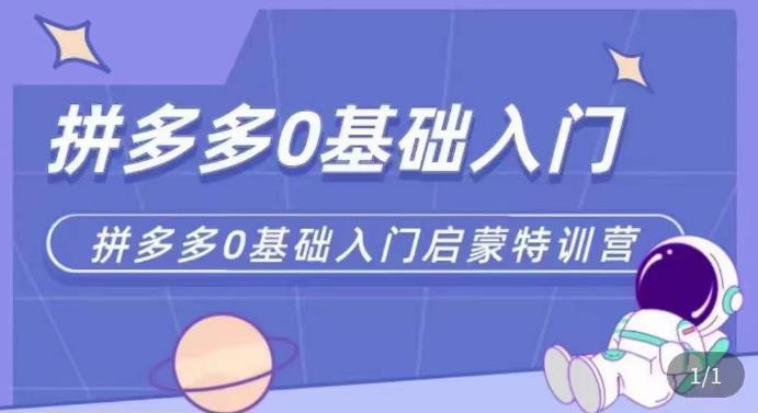 拼多多运营0-1实操特训营，拼多多0基础入门，从基础到进阶的可实操玩法-润泽资源库