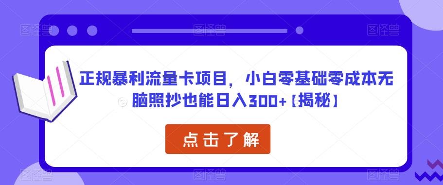 正规暴利流量卡项目，小白零基础零成本无脑照抄也能日入300+【揭秘】-润泽资源库