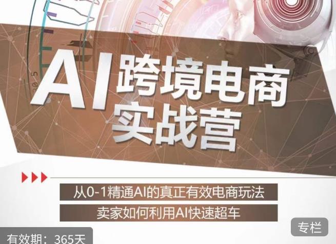 白龙老师·AI跨境电商实战营：从0-1精通Al的真正有效电商玩法，卖家如何利用Al快速超车-润泽资源库