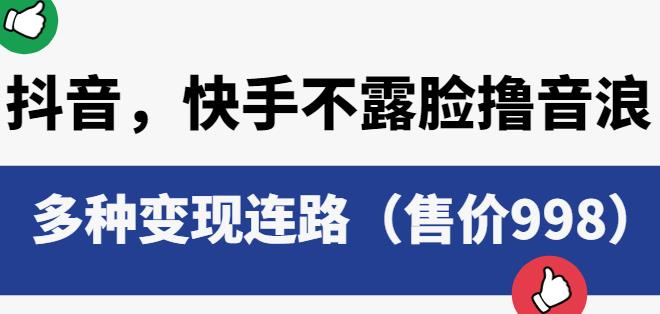 抖音快手不露脸撸音浪项目，多种变现连路（售价998）-润泽资源库