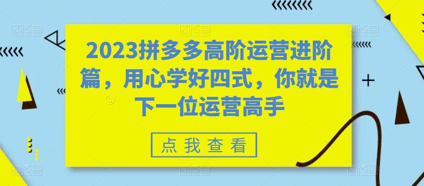 2023拼多多高阶运营进阶篇，用心学好四式，你就是下一位运营高手-润泽资源库