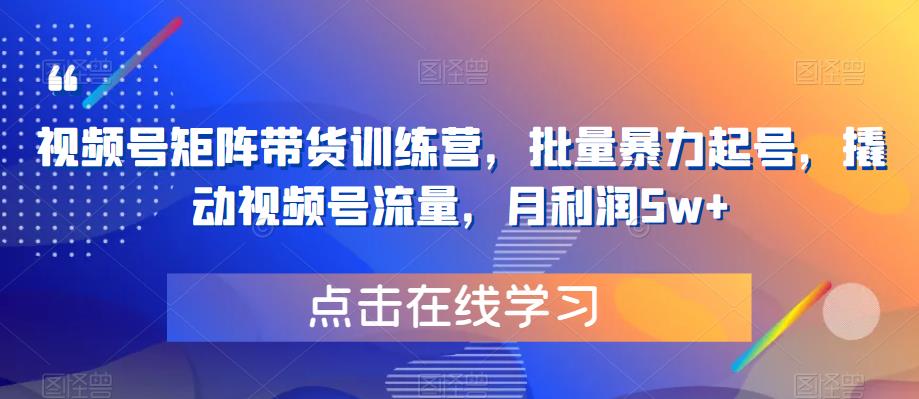 视频号矩阵带货训练营，批量暴力起号，撬动视频号流量，月利润5w+-润泽资源库