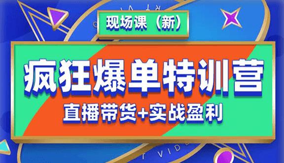 抖音短视频疯狂爆单特训营现场课（新）直播带货+实战案例-润泽资源库