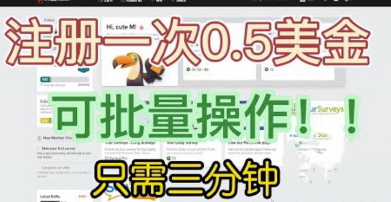国外项目注册一次0.5美金，只需三分钟无脑操作，可批量同时放大操作，小白工作室福利【揭秘】-润泽资源库