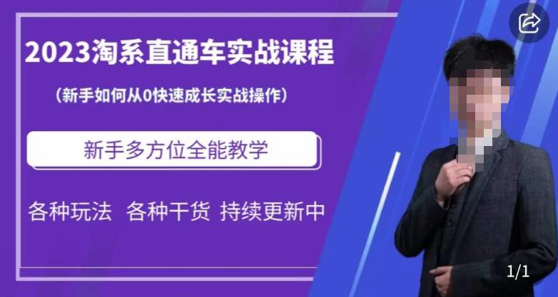 2023淘系直通车保姆式运营讲解，新手如何从0快速成长实战操作，新手多方位全能教学-润泽资源库