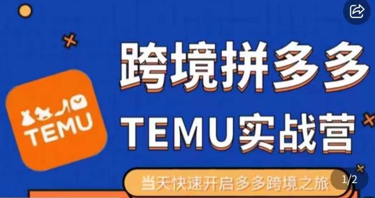 大鹏出海·拼多多跨境temu运营指导，开店注册+选品+核价上架，日出千单实战课-润泽资源库