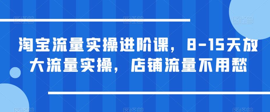 淘宝流量实操进阶课，8-15天放大流量实操，店铺流量不用愁-润泽资源库