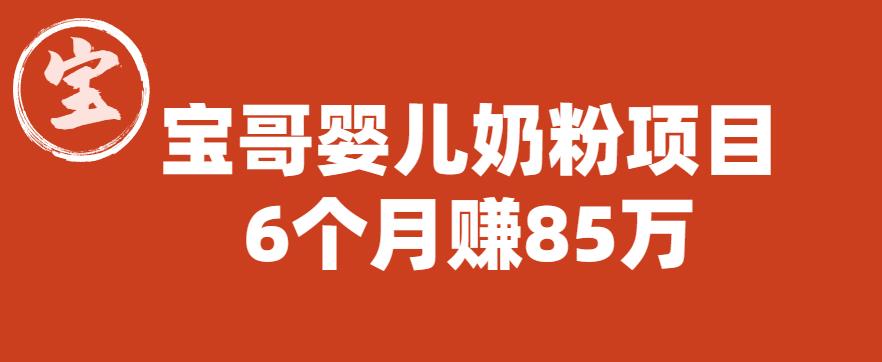 宝哥婴儿奶粉项目，6个月赚85w【图文非视频】【揭秘】-润泽资源库
