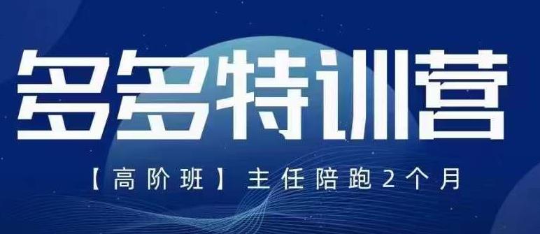 纪主任·5月最新多多特训营高阶班，玩法落地实操，多多全掌握-润泽资源库