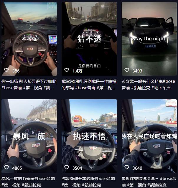 抖音开车视频项目，0基础操作，每天五分钟，月入1W+【揭秘】-润泽资源库