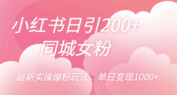 小红书日引200+同城女粉，最新实操爆粉玩法，单日变现1000+【揭秘】-润泽资源库