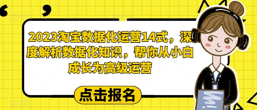 2023淘宝数据化运营14式，深度解析数据化知识，帮你从小白成长为高级运营-润泽资源库
