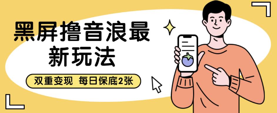 黑屏撸音浪最新玩法，双重变现，每日保底2张【揭秘】-润泽资源库