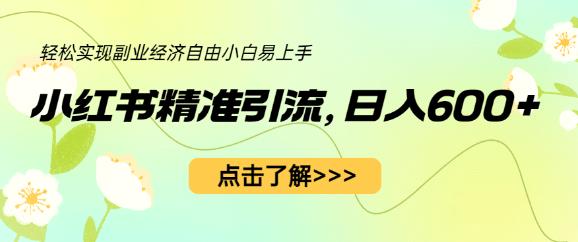 小红书精准引流，小白日入600+，轻松实现副业经济自由（教程+1153G资源）-润泽资源库