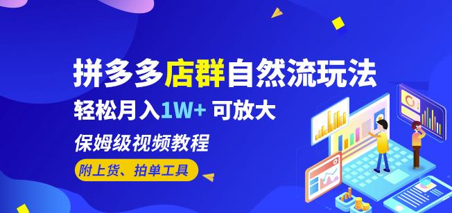 拼多多店群自然流玩法，轻松月入1W+保姆级视频教程（附上货、拍单工具）-润泽资源库