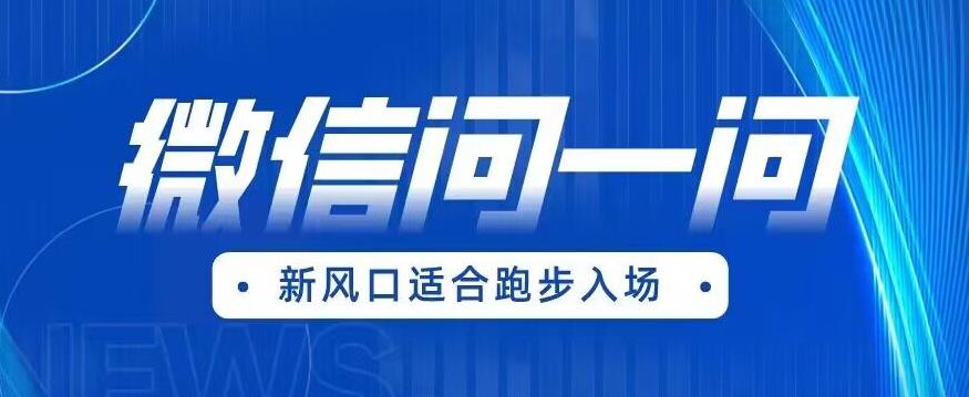 全网首发微信问一问新风口变现项目（价值1999元）【揭秘】-润泽资源库