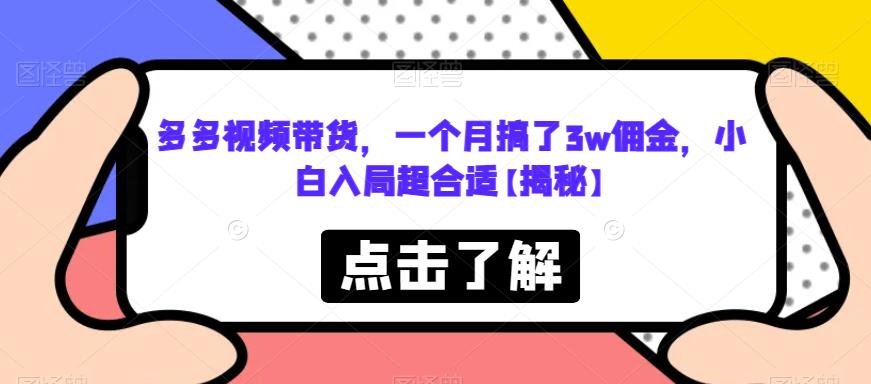 多多视频带货，一个月搞了3w佣金，小白入局超合适【揭秘】-润泽资源库