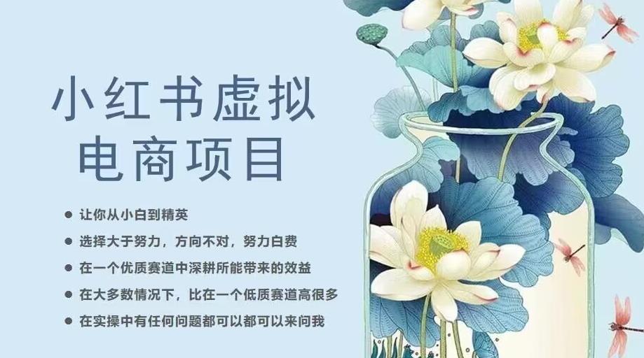 小红书虚拟电商从0到1，让你从小白到精英（20节实操课程）-润泽资源库
