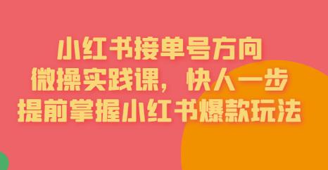 接单号方向·小红书微操实践课，快人一步，提前掌握小红书爆款玩法-润泽资源库
