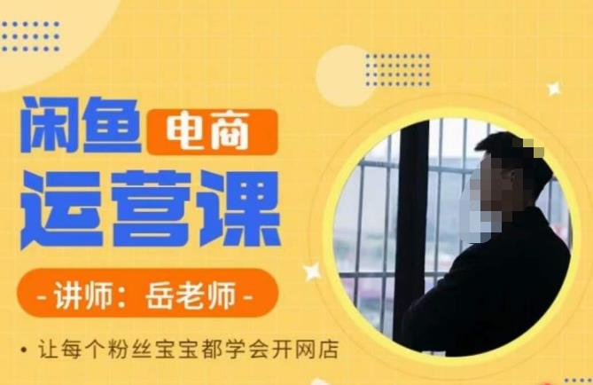 岳老师·闲鱼电商运营课，让每个粉丝宝宝都学会开网店-润泽资源库