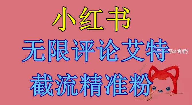 小红书无限评论艾特截流精准粉（软件+教程）-润泽资源库