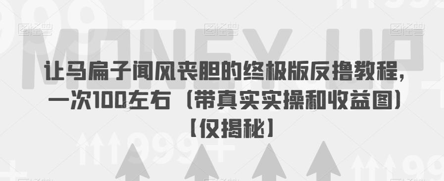 让马扁子闻风丧胆的终极版反撸教程，一次100左右（带真实实操和收益图）【仅揭秘】-润泽资源库