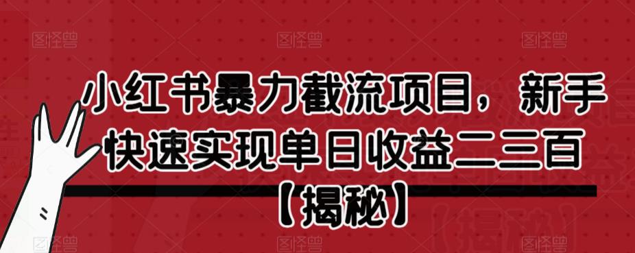小红书暴力截流项目，新手快速实现单日收益二三百【仅揭秘】-润泽资源库
