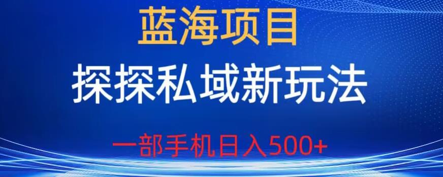 蓝海项目，探探私域新玩法，一部手机日入500+很轻松【揭秘】-润泽资源库