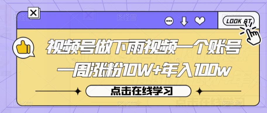 视频号做下雨视频一个账号一周涨粉10W+年入100w【揭秘】-润泽资源库