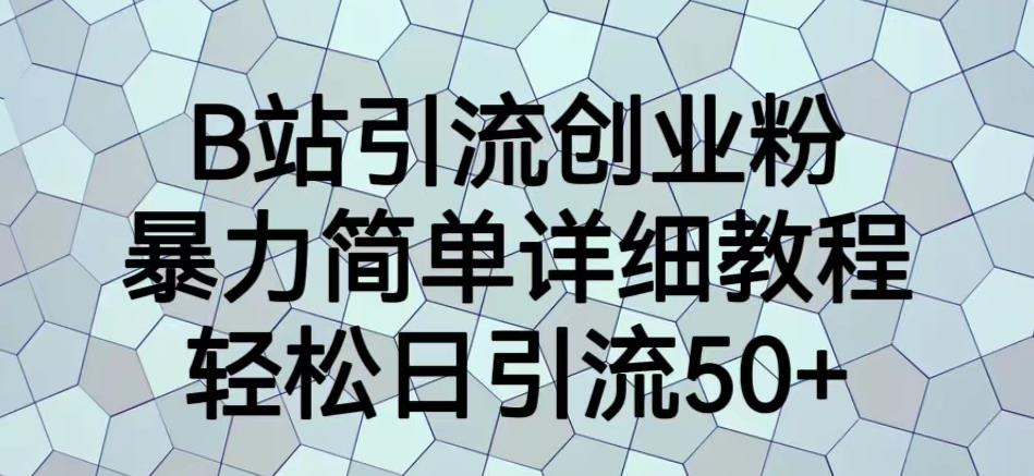 B站引流创业粉，暴力简单详细教程，轻松日引流50+【揭秘】-润泽资源库