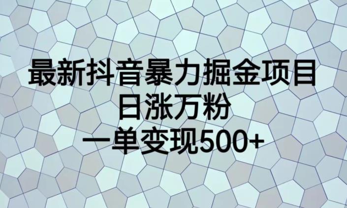 最新抖音暴力掘金项目，日涨万粉，一单变现500+【揭秘】-润泽资源库