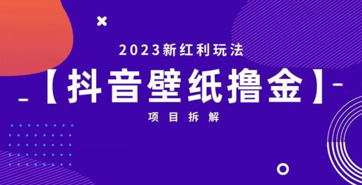 抖音壁纸小程序创作者撸金项目，2023新红利玩法【项目拆解】-润泽资源库