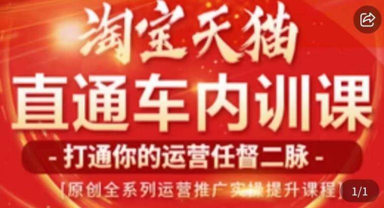 天问电商·2023淘宝天猫直通车内训课，零基础学起直通车运营实操课程-润泽资源库