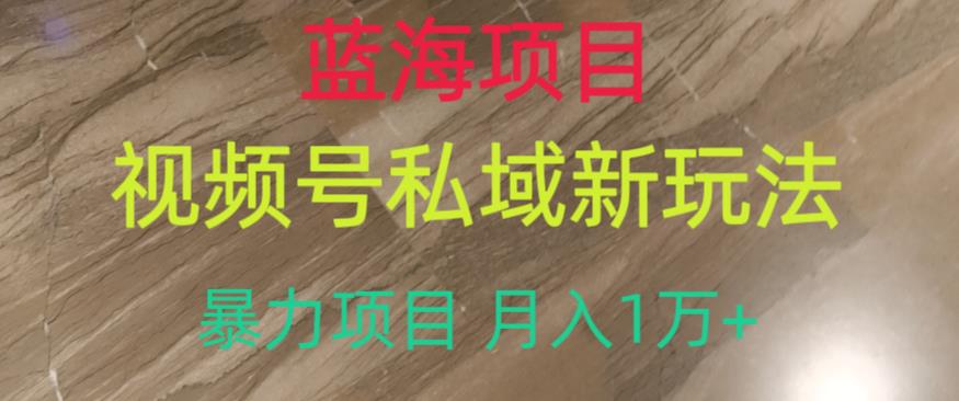 蓝海项目，视频号私域新玩法，暴力项目月入1万+【揭秘】-润泽资源库