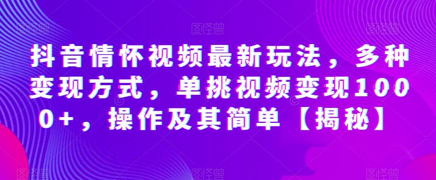 抖音情怀视频最新玩法，多种变现方式，单挑视频变现1000+，操作及其简单【揭秘】-润泽资源库