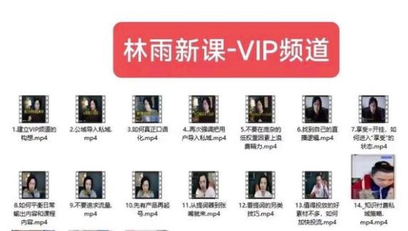 林雨新课VIP频道，玩赚私域/朋友圈/社群-润泽资源库