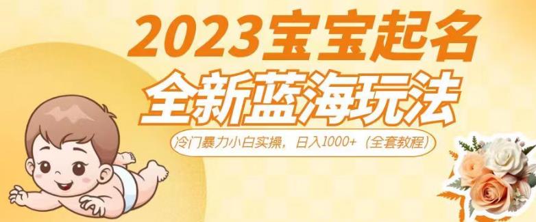 2023宝宝起名全新蓝海玩法，冷门暴力小白实操，日入1000+（全套教程）【揭秘】-润泽资源库