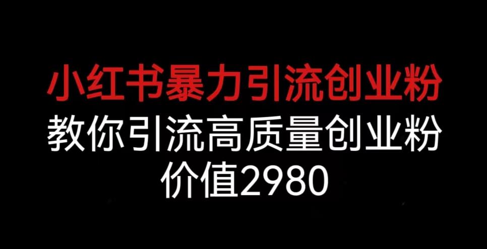 小红书暴力引流创业粉，教你引流高质量创业粉，价值2980【揭秘】-润泽资源库