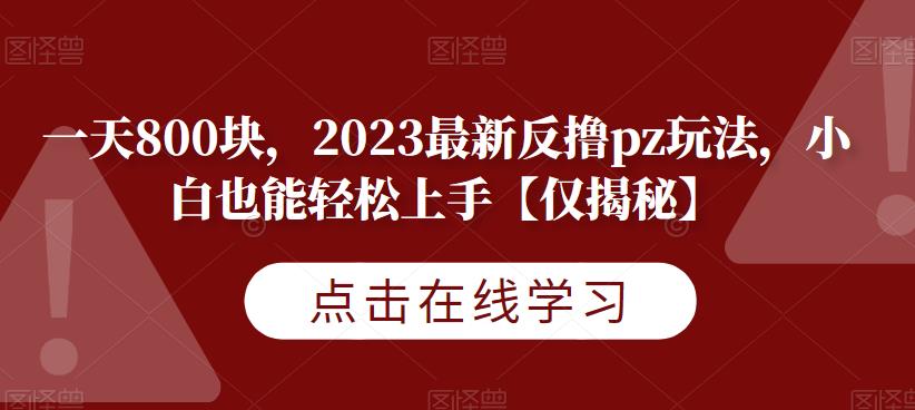 一天800块，2023最新反撸pz玩法，小白也能轻松上手【仅揭秘】-润泽资源库