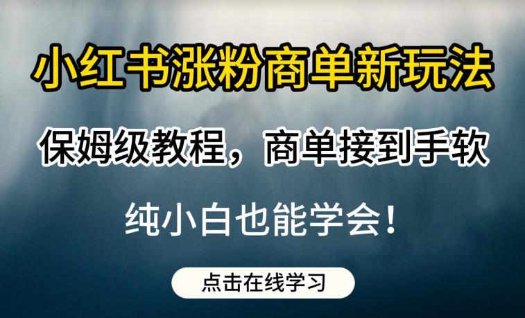 小红书涨粉商单新玩法，保姆级教程，商单接到手软，纯小白也能学会【揭秘】-润泽资源库