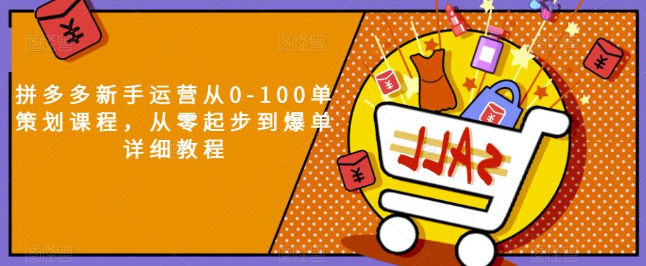 拼多多新手运营从0-100单策划课程，从零起步到爆单详细教程-润泽资源库