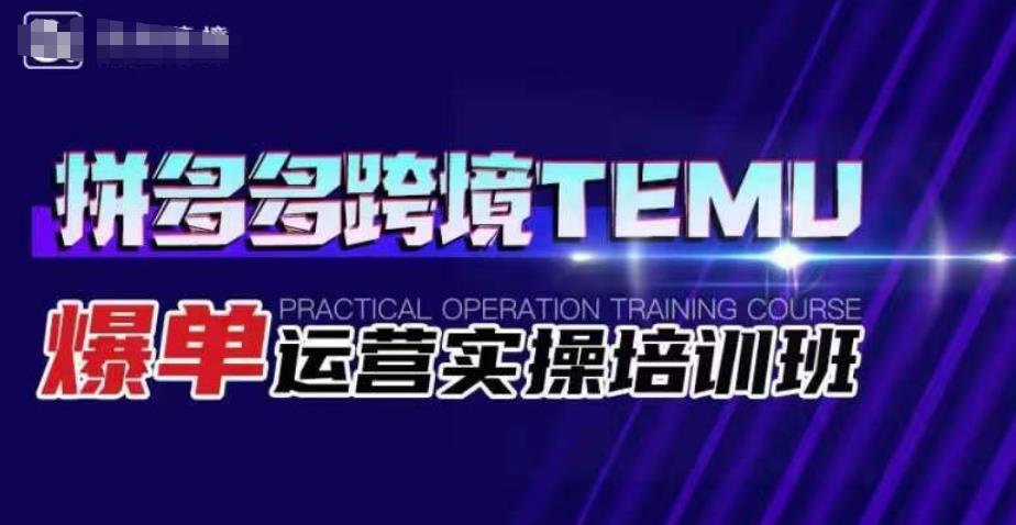 拼多多跨境TEMU爆单运营实操培训班，海外拼多多的选品、运营、爆单-润泽资源库